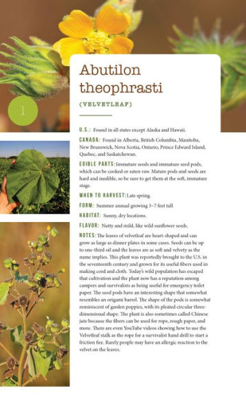 276 Edible Wild Plants of the United States and Canada: Berries, Roots, Nuts, Greens, Flowers, Seeds All or Majority US Canada