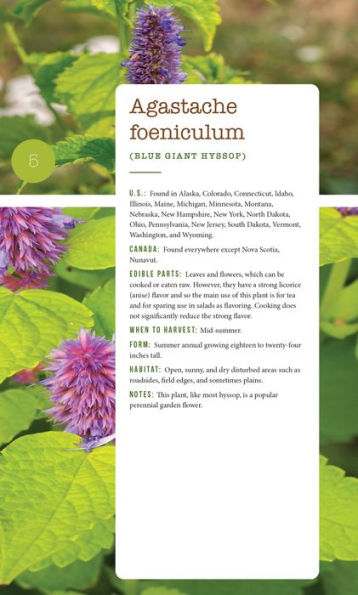 276 Edible Wild Plants of the United States and Canada: Berries, Roots, Nuts, Greens, Flowers, Seeds All or Majority US Canada