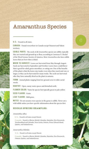 276 Edible Wild Plants of the United States and Canada: Berries, Roots, Nuts, Greens, Flowers, Seeds All or Majority US Canada
