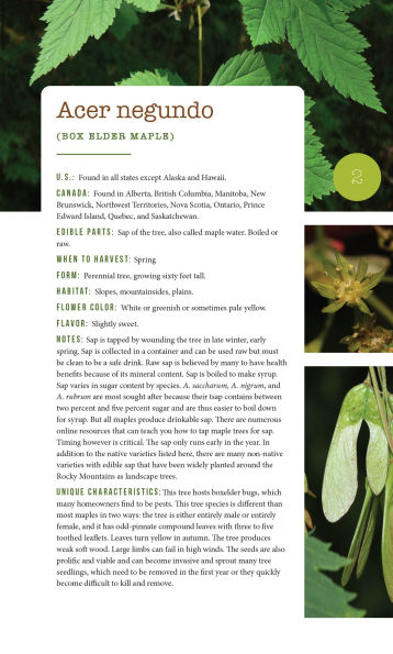 276 Edible Wild Plants of the United States and Canada: Berries, Roots, Nuts, Greens, Flowers, Seeds All or Majority US Canada