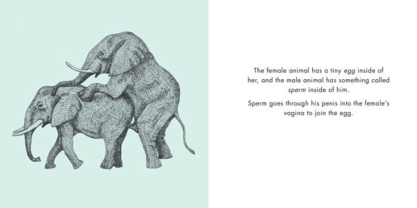 Animals Mate: A Book About Where Babies Come From