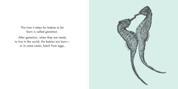 Animals Mate: A Book About Where Babies Come From