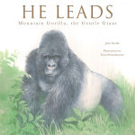 Alternative view 1 of He Leads: Mountain Gorilla, the Gentle Giant
