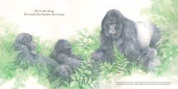 Alternative view 2 of He Leads: Mountain Gorilla, the Gentle Giant