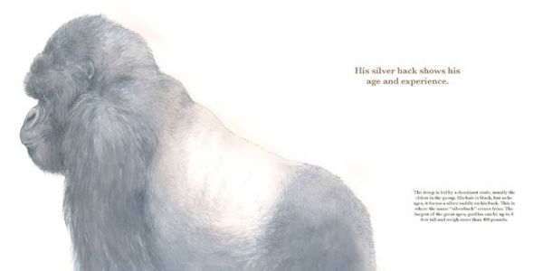 He Leads: Mountain Gorilla, the Gentle Giant