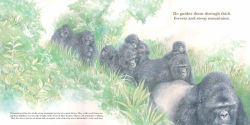 Alternative view 4 of He Leads: Mountain Gorilla, the Gentle Giant