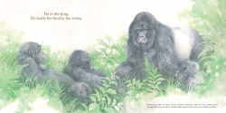 Alternative view 6 of He Leads: Mountain Gorilla, the Gentle Giant