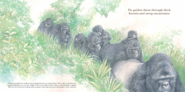 He Leads: Mountain Gorilla, the Gentle Giant