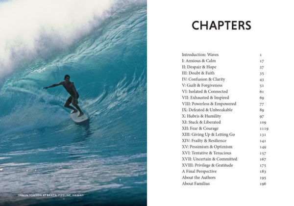 The Surfer and the Sage: A Guide to Survive and Ride Life's Waves
