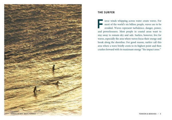 The Surfer and the Sage: A Guide to Survive and Ride Life's Waves