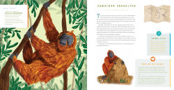 Alternative view 9 of Hear Them Roar: 14 Endangered Animals from Around the World