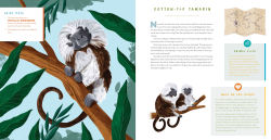 Alternative view 10 of Hear Them Roar: 14 Endangered Animals from Around the World