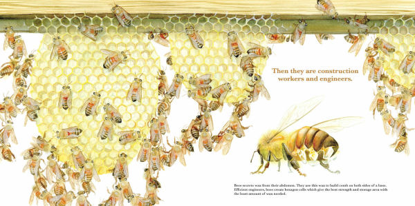 They Work: Honey Bees, Nature's Pollinators