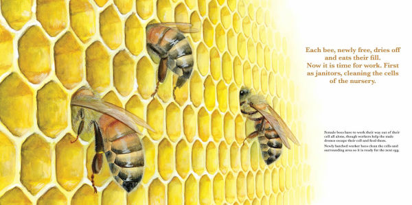 They Work: Honey Bees, Nature's Pollinators