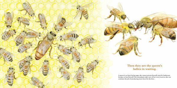 They Work: Honey Bees, Nature's Pollinators