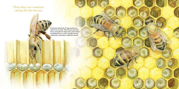 They Work: Honey Bees, Nature's Pollinators