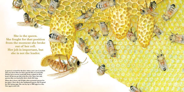 They Work: Honey Bees, Nature's Pollinators