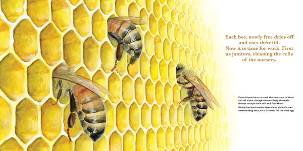 They Work: Honey Bees, Nature's Pollinators