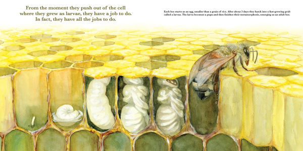 They Work: Honey Bees, Nature's Pollinators