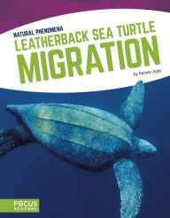 Title: Leatherback Sea Turtle Migration, Author: Kelsey Jopp