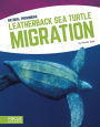 Leatherback Sea Turtle Migration