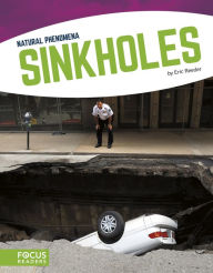 Title: Sinkholes, Author: Eric Reeder