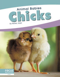 Title: Chicks, Author: Kelsey Jopp