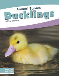 Title: Ducklings, Author: Meg Gaertner