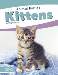 Title: Kittens, Author: Meg Gaertner