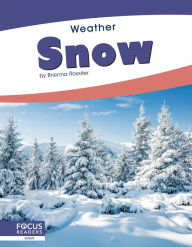 Title: Snow, Author: Brienna Rossiter