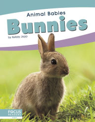 Title: Bunnies, Author: Kelsey Jopp