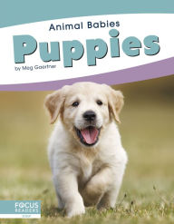 Title: Puppies, Author: Meg Gaertner