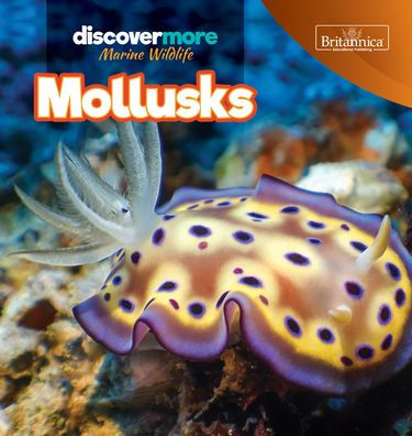 Mollusks