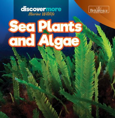 Sea Plants and Algae