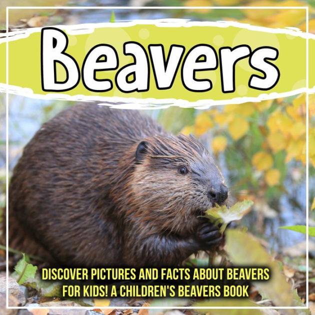 Books About Beavers For Kids