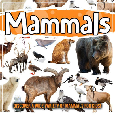 Mammals: Discover A Wide Variety Of Mammals For Kids! by Bold Kids ...