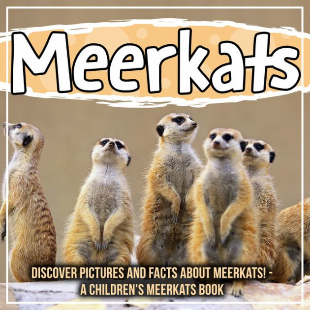 Meerkats: Discover Pictures and Facts About Meerkats! - A Children's ...