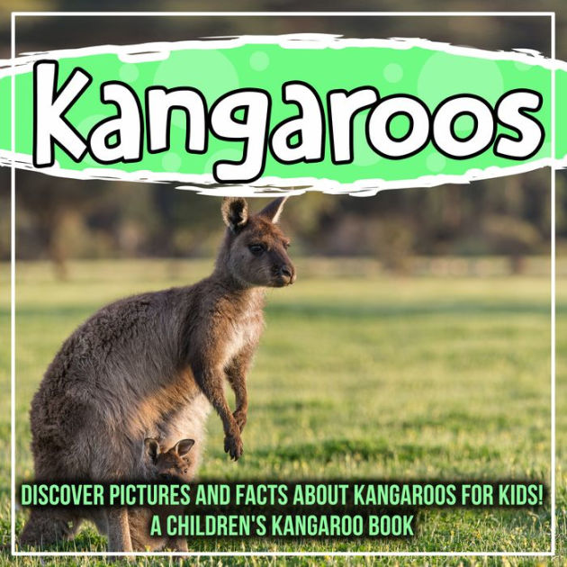 Kangaroos: Discover Pictures and Facts About Kangaroos For Kids! A ...