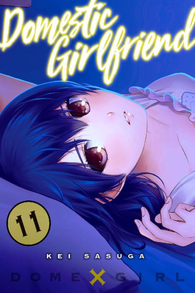 Domestic Girlfriend, Volume 11