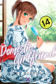 Title: Domestic Girlfriend, Volume 14, Author: Kei Sasuga