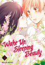 Wake Up, Sleeping Beauty, Volume 3