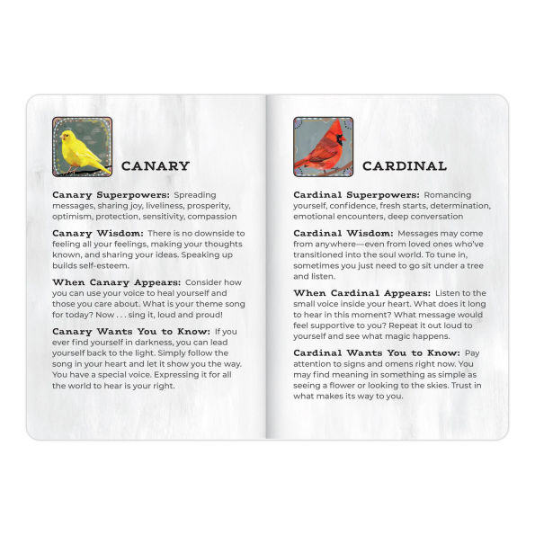 Animal Allies Birds Oracle Deck: An Uplifting 50-Card Oracle Deck with Guidebook