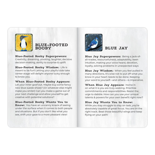 Animal Allies Birds Oracle Deck: An Uplifting 50-Card Oracle Deck with Guidebook