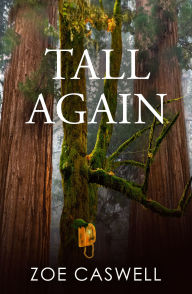 Free accounts book download Tall Again 9781642476293  English version