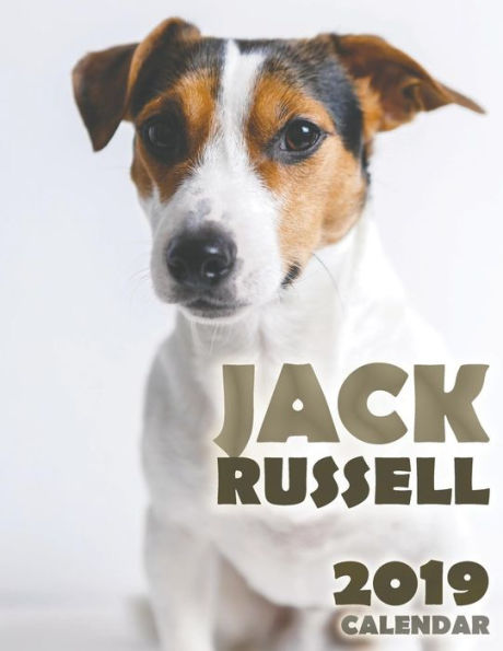 Jack Russell 2019 Calendar