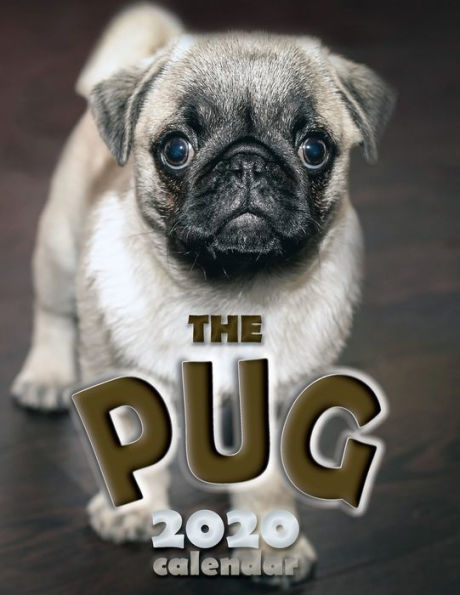 The Pug 2020 Calendar