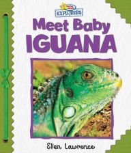 Title: Active Minds Explorers: Meet Baby Iguana, Author: Ellen Lawrence