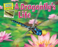 Title: A Dragonfly's Life, Author: Ellen Lawrence