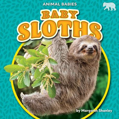 Baby Sloths