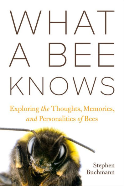 What a Bee Knows: Exploring the Thoughts, Memories, and Personalities of Bees